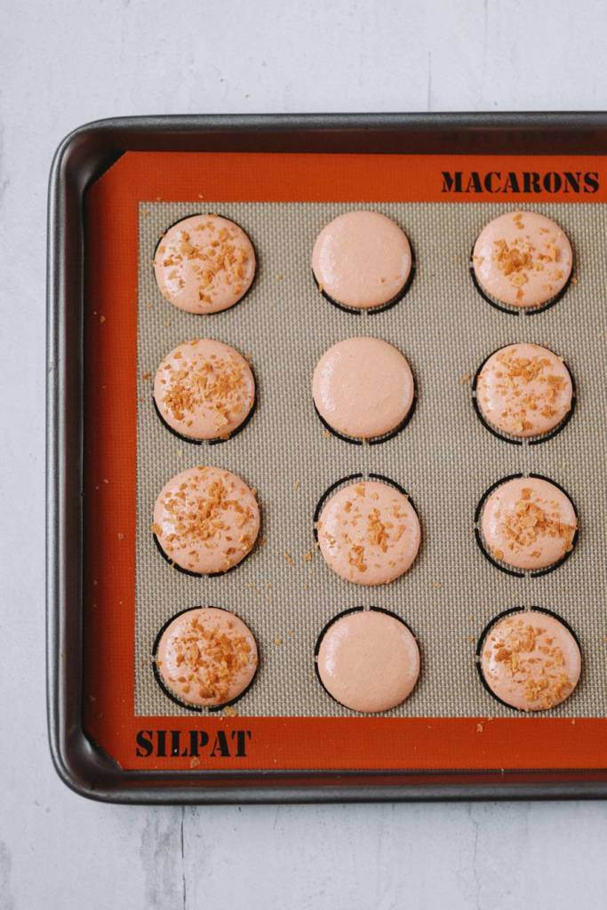 macarons shells