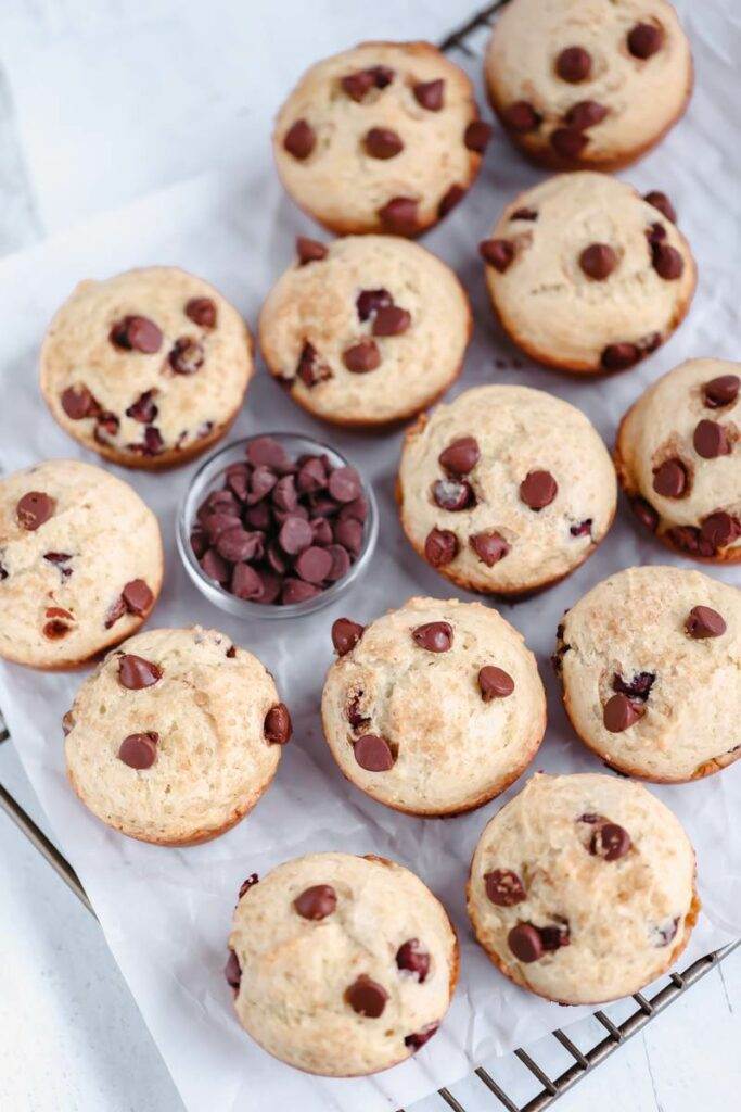 Chocolate Chip Muffins